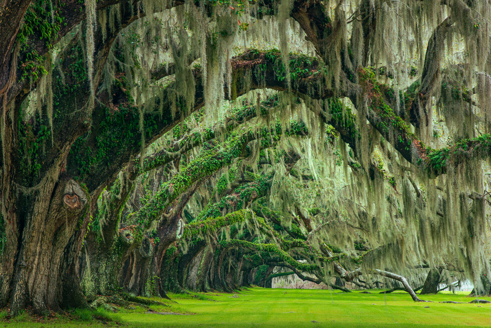 Scenic Charleston